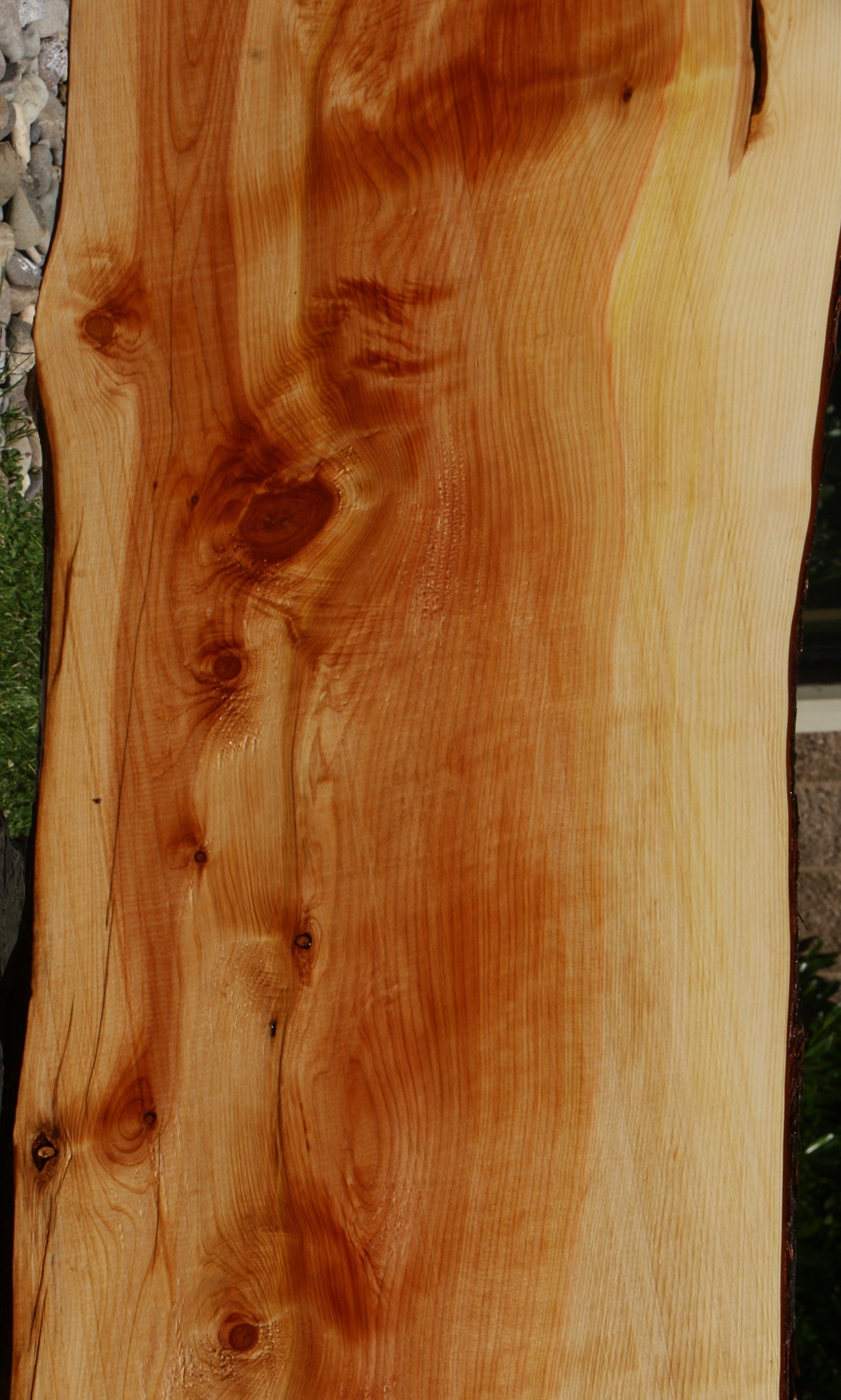 Juniper Live Edge Slab