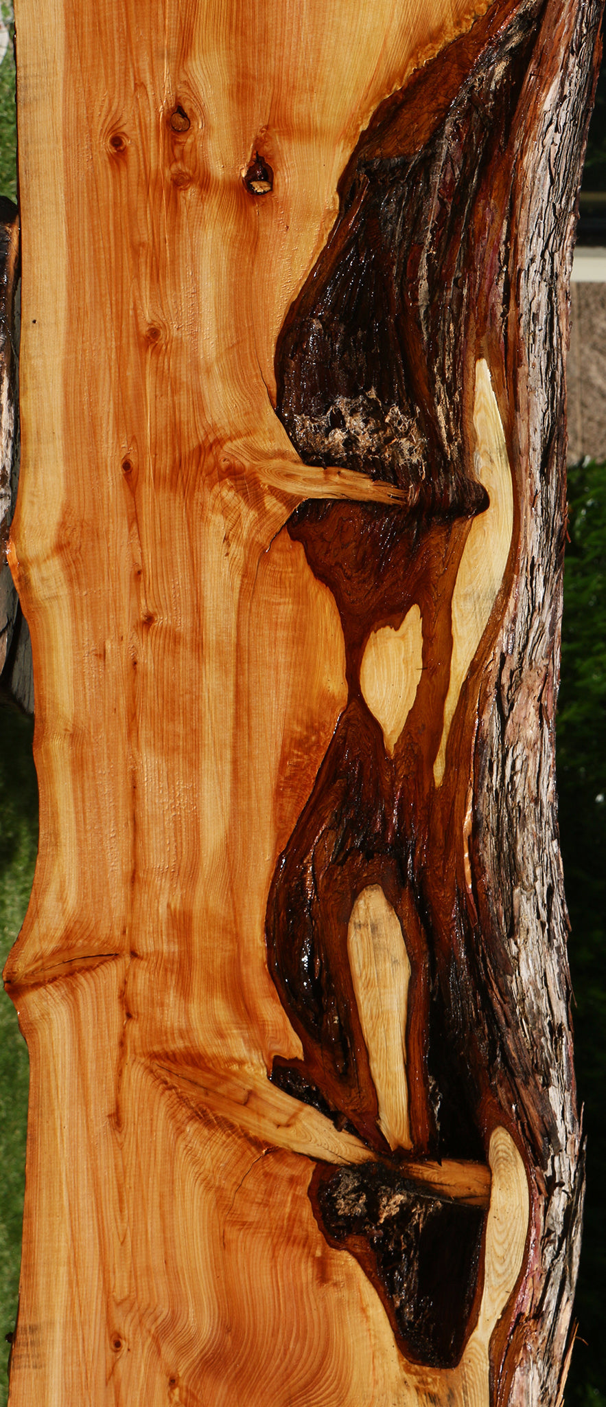 Juniper Live Edge Slab