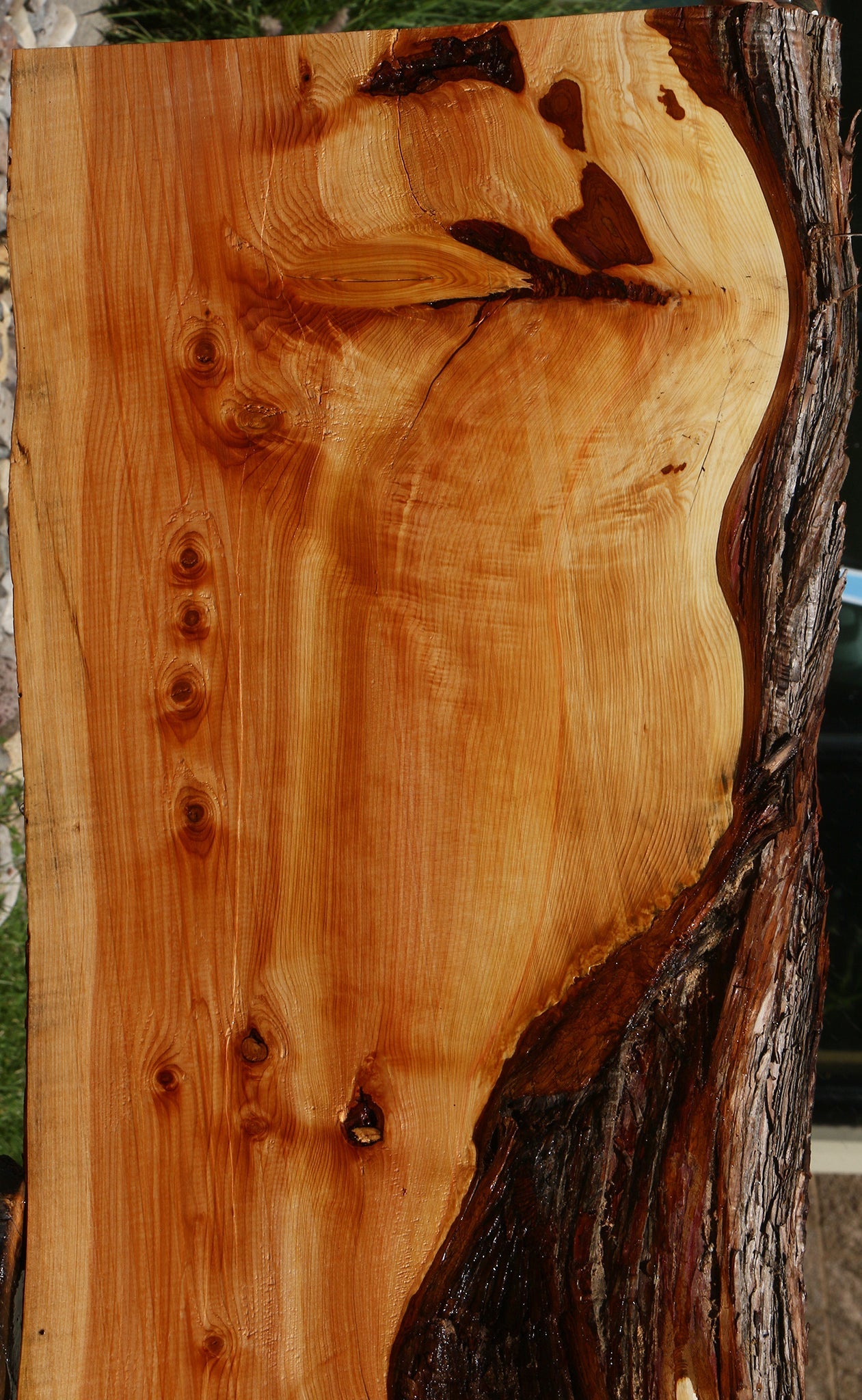 Juniper Live Edge Slab