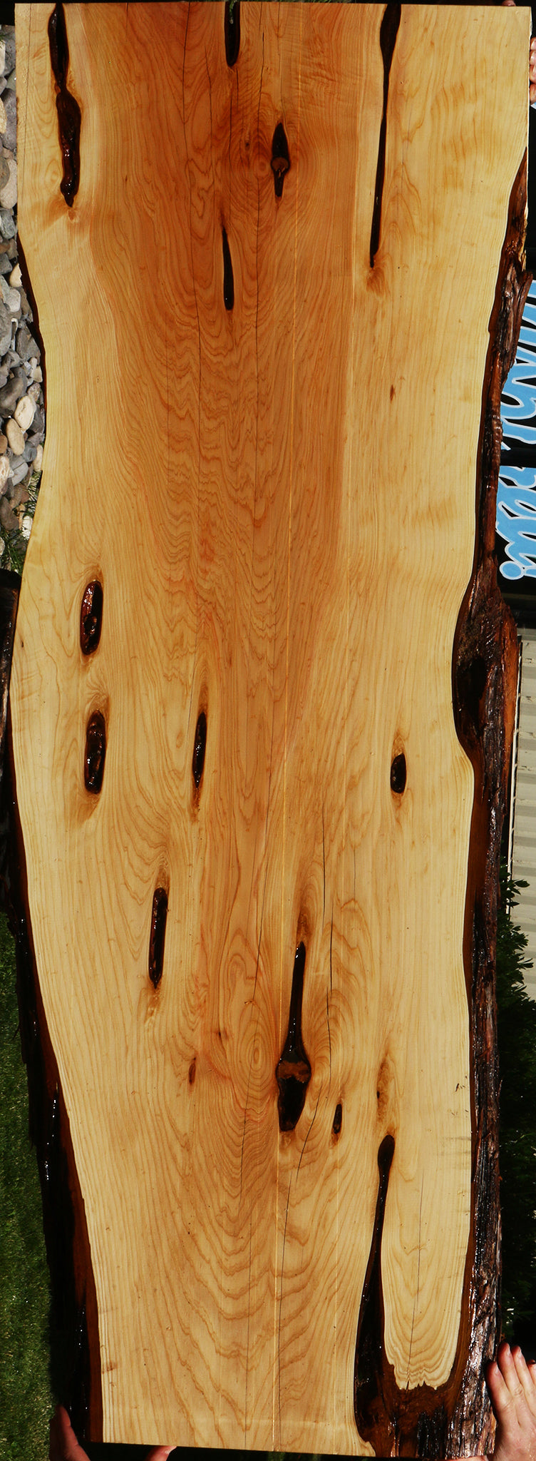 Juniper Live Edge Slab