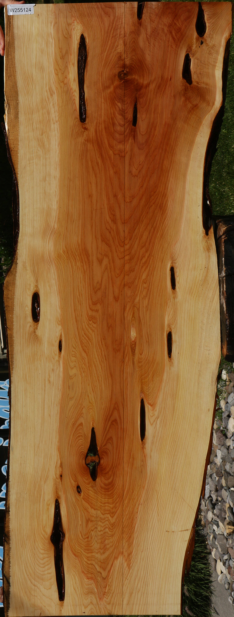 Juniper Live Edge Slab