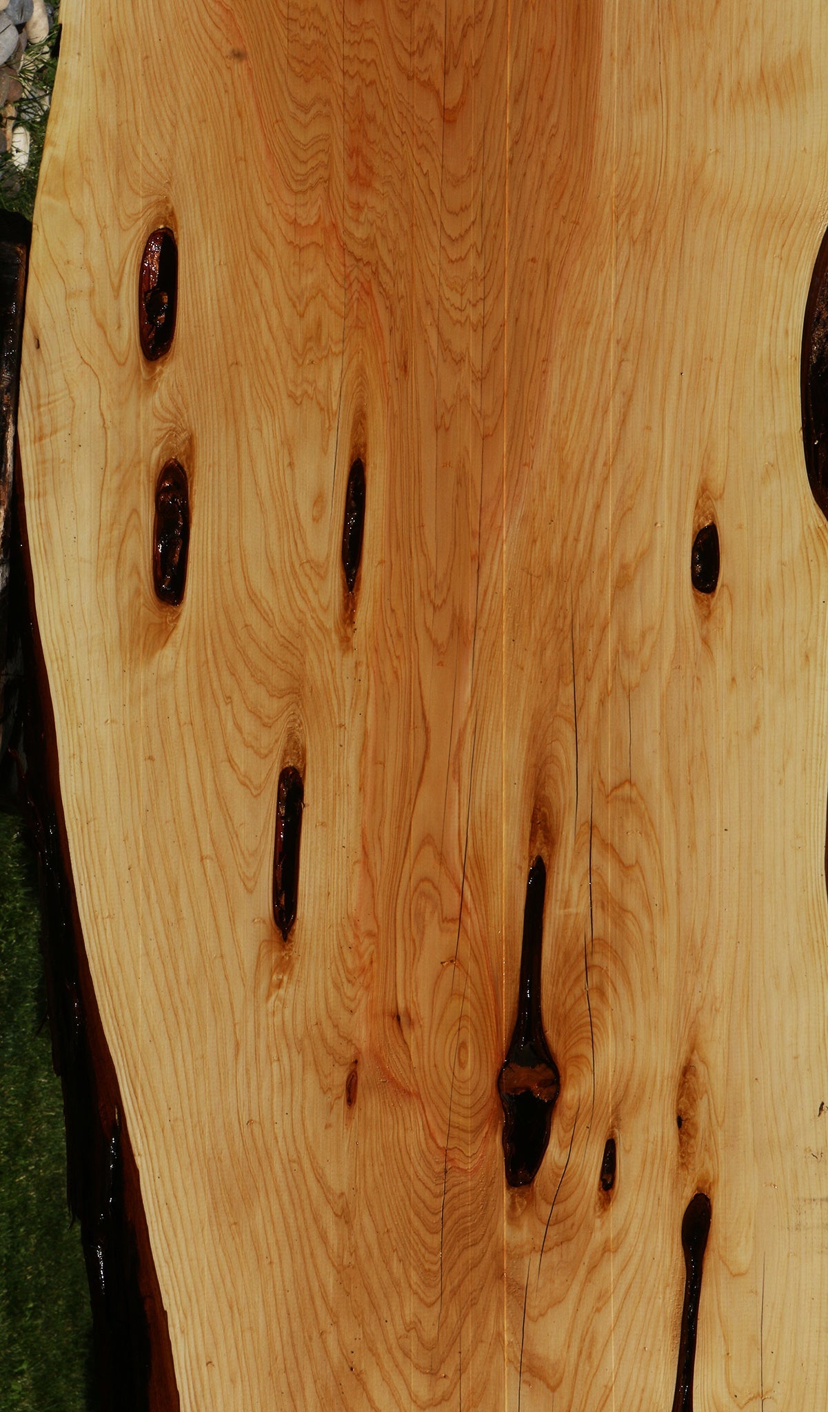 Juniper Live Edge Slab