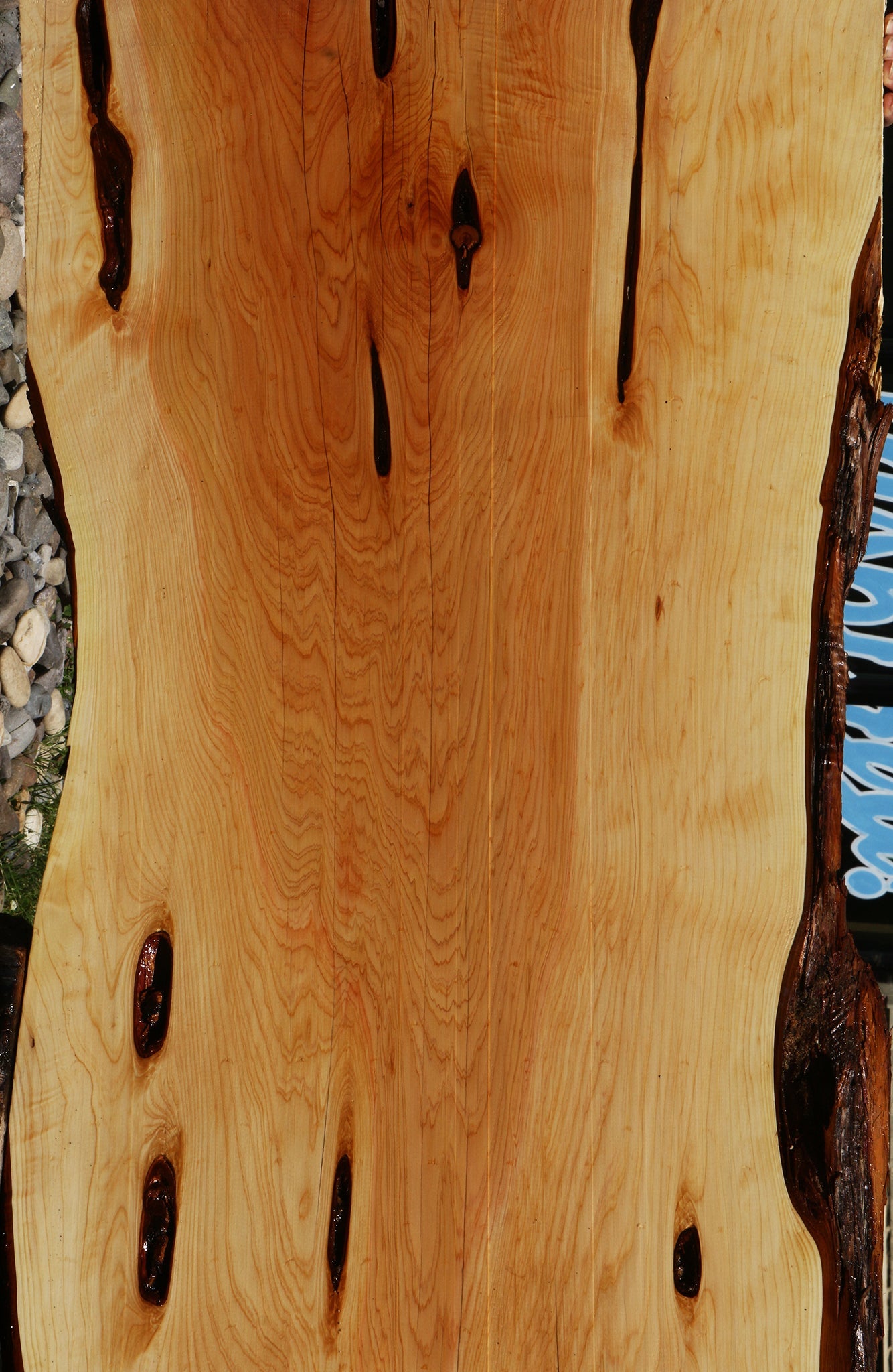 Juniper Live Edge Slab