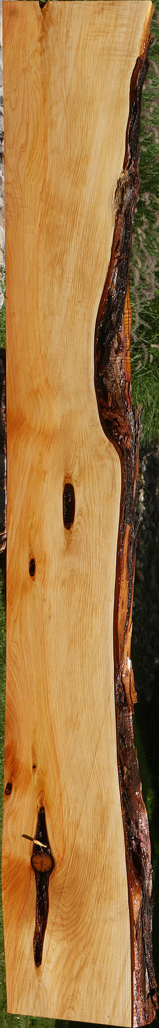 Juniper Live Edge Slab