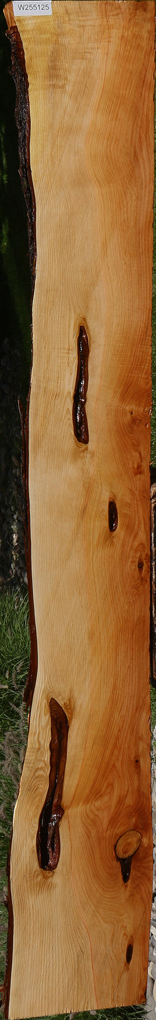 Juniper Live Edge Slab