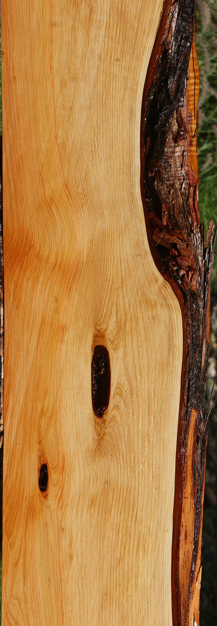 Juniper Live Edge Slab