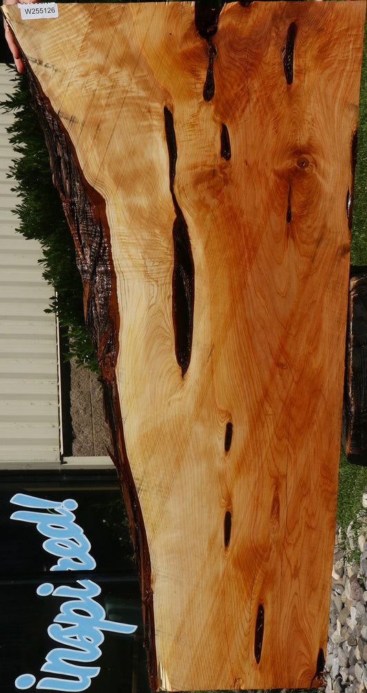 Figured Rustic Juniper Live Edge Slab