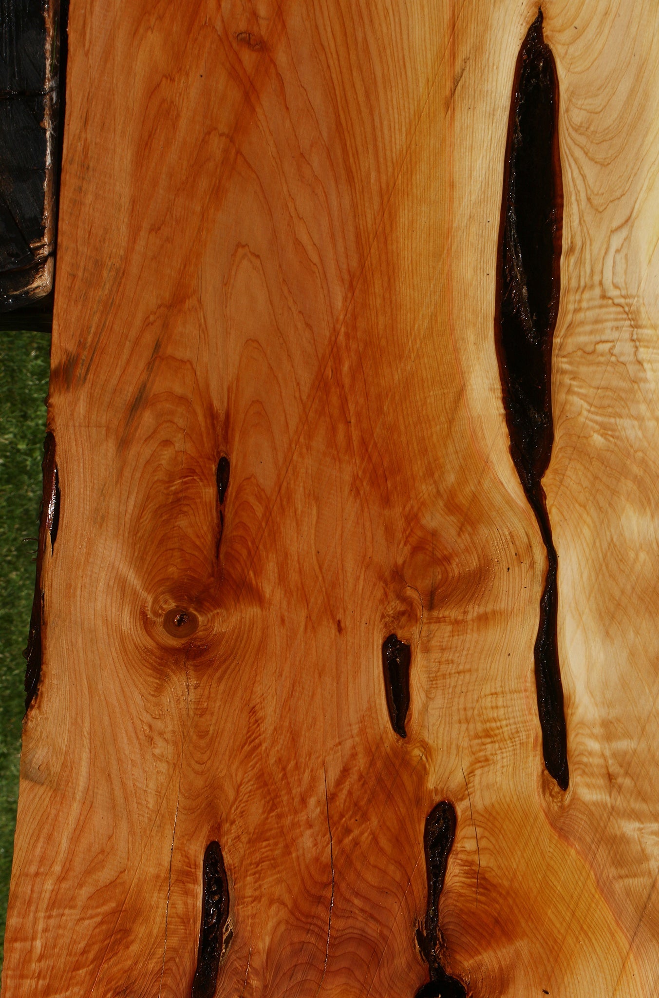 Figured Rustic Juniper Live Edge Slab