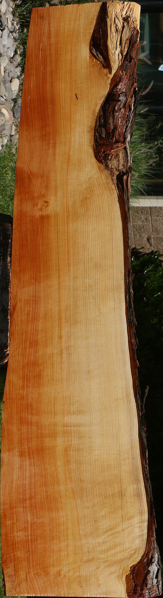 Juniper Live Edge Slab