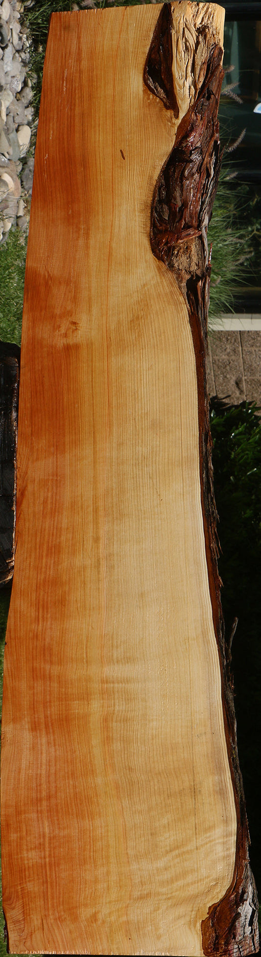 Juniper Live Edge Slab