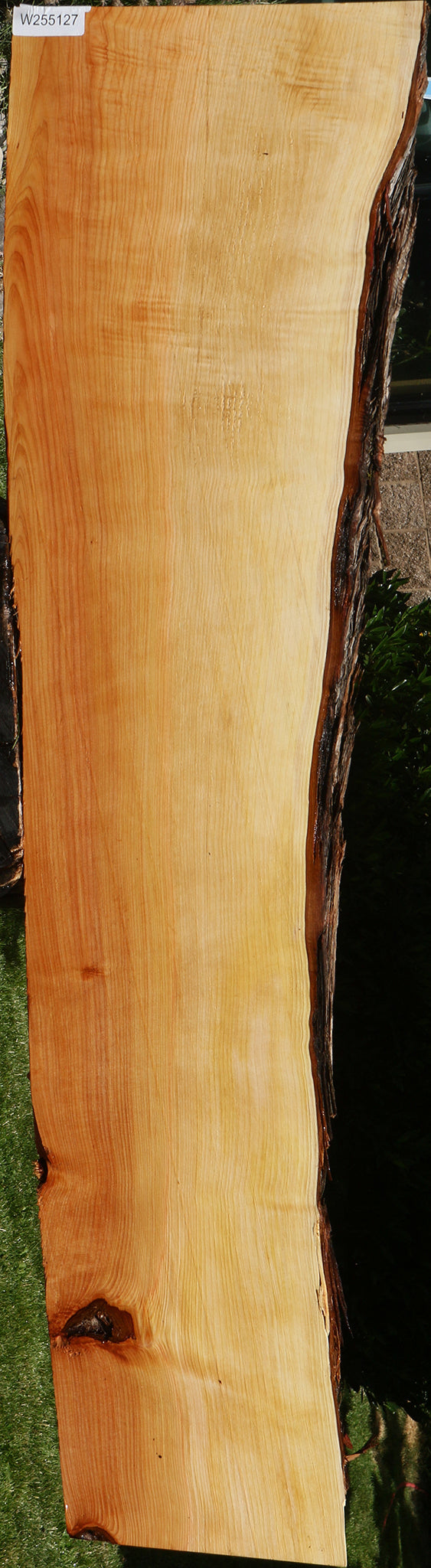 Juniper Live Edge Slab