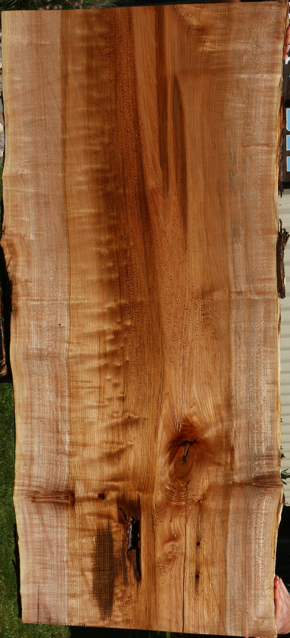 Rustic Quilted Maple Live Edge Slab