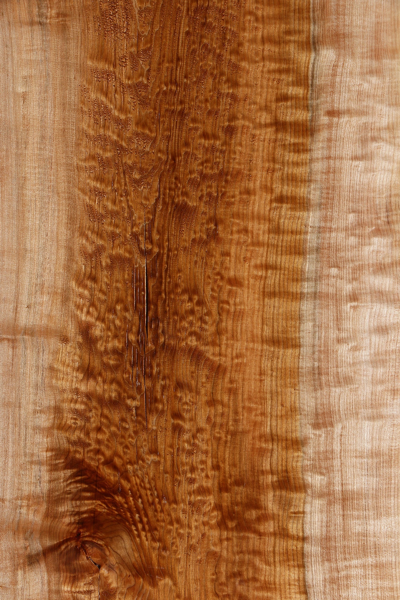 Rustic Quilted Maple Live Edge Slab