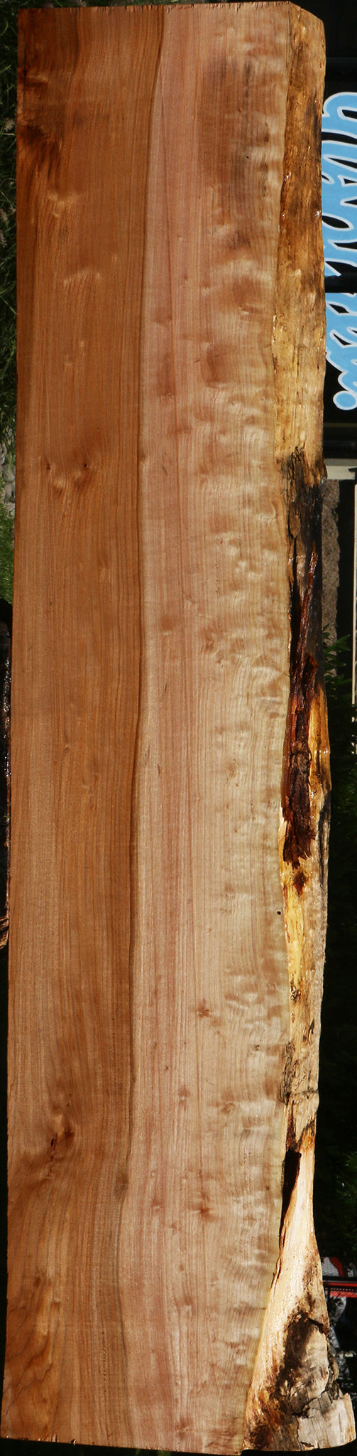 Figured Maple Live Edge Slab