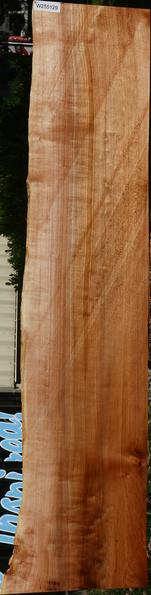 Figured Maple Live Edge Slab