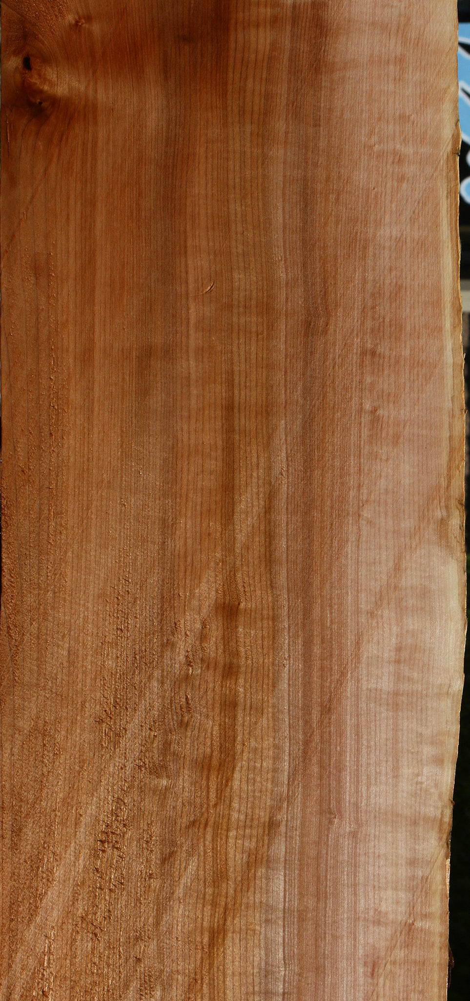 Figured Maple Live Edge Slab