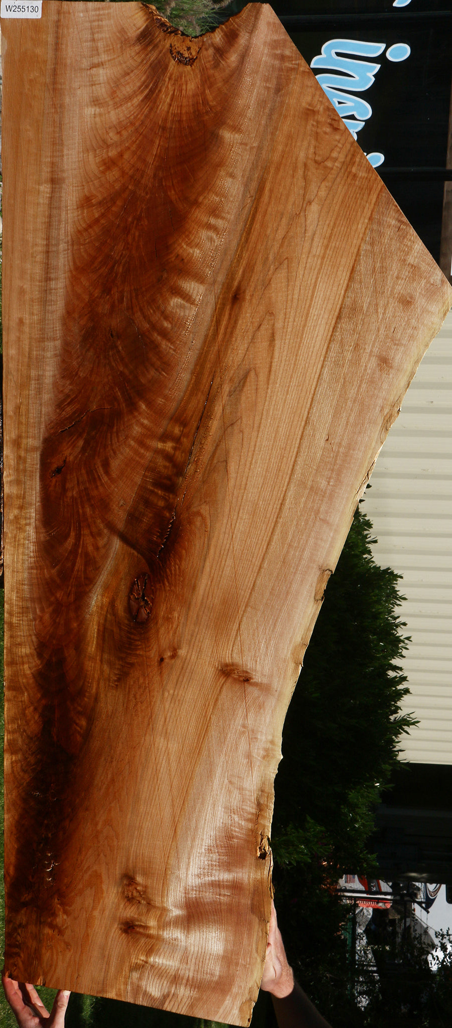 Rustic Maple Live Edge Slab