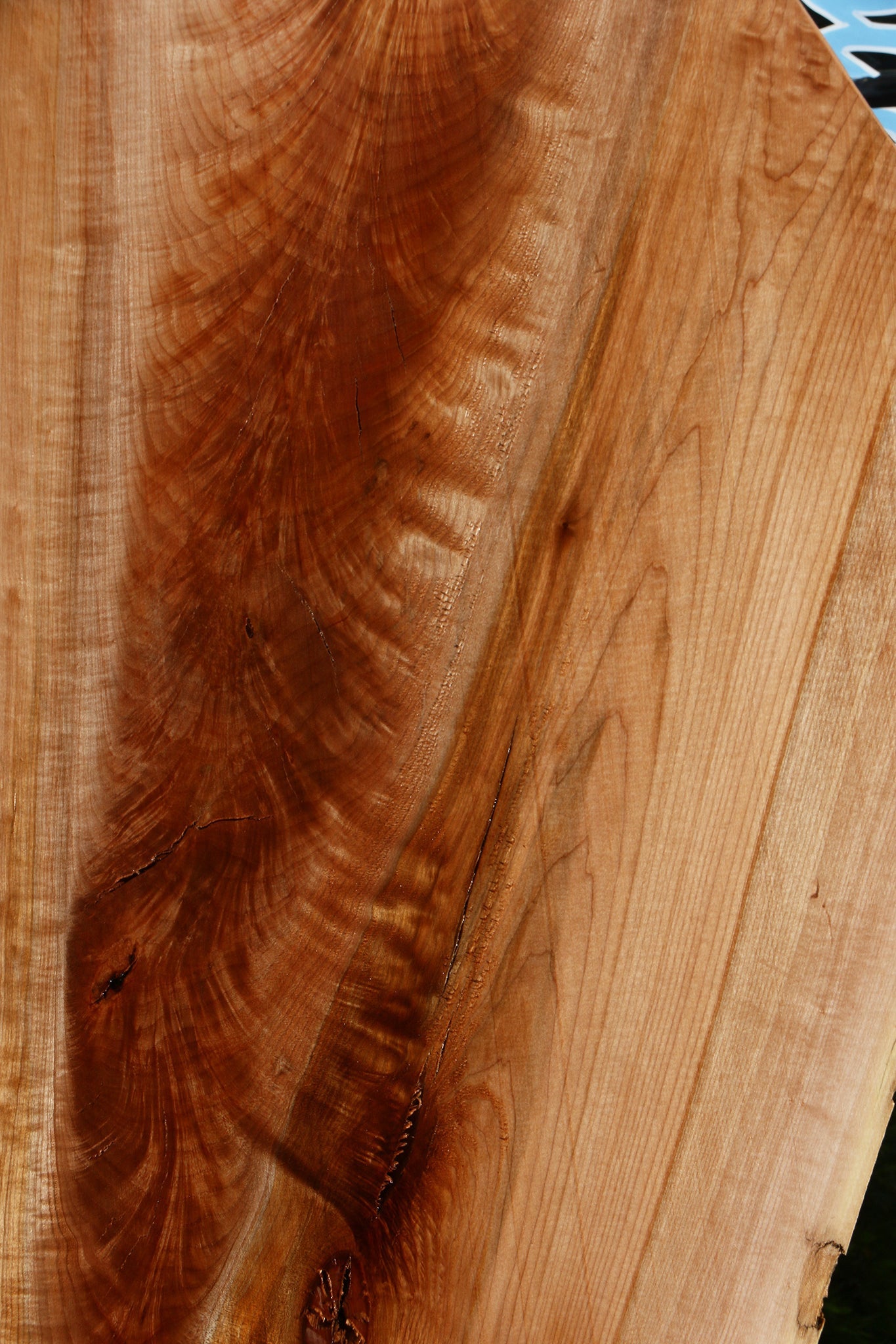 Rustic Maple Live Edge Slab