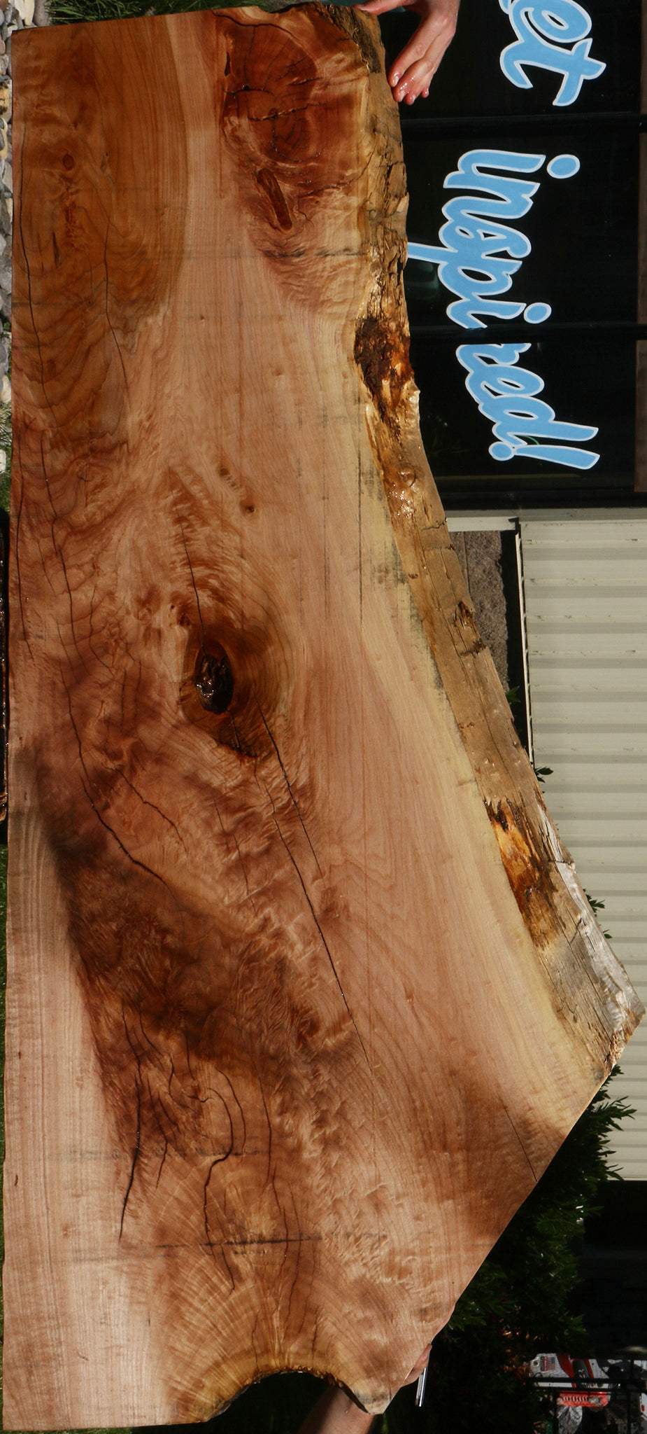 Rustic Maple Live Edge Slab