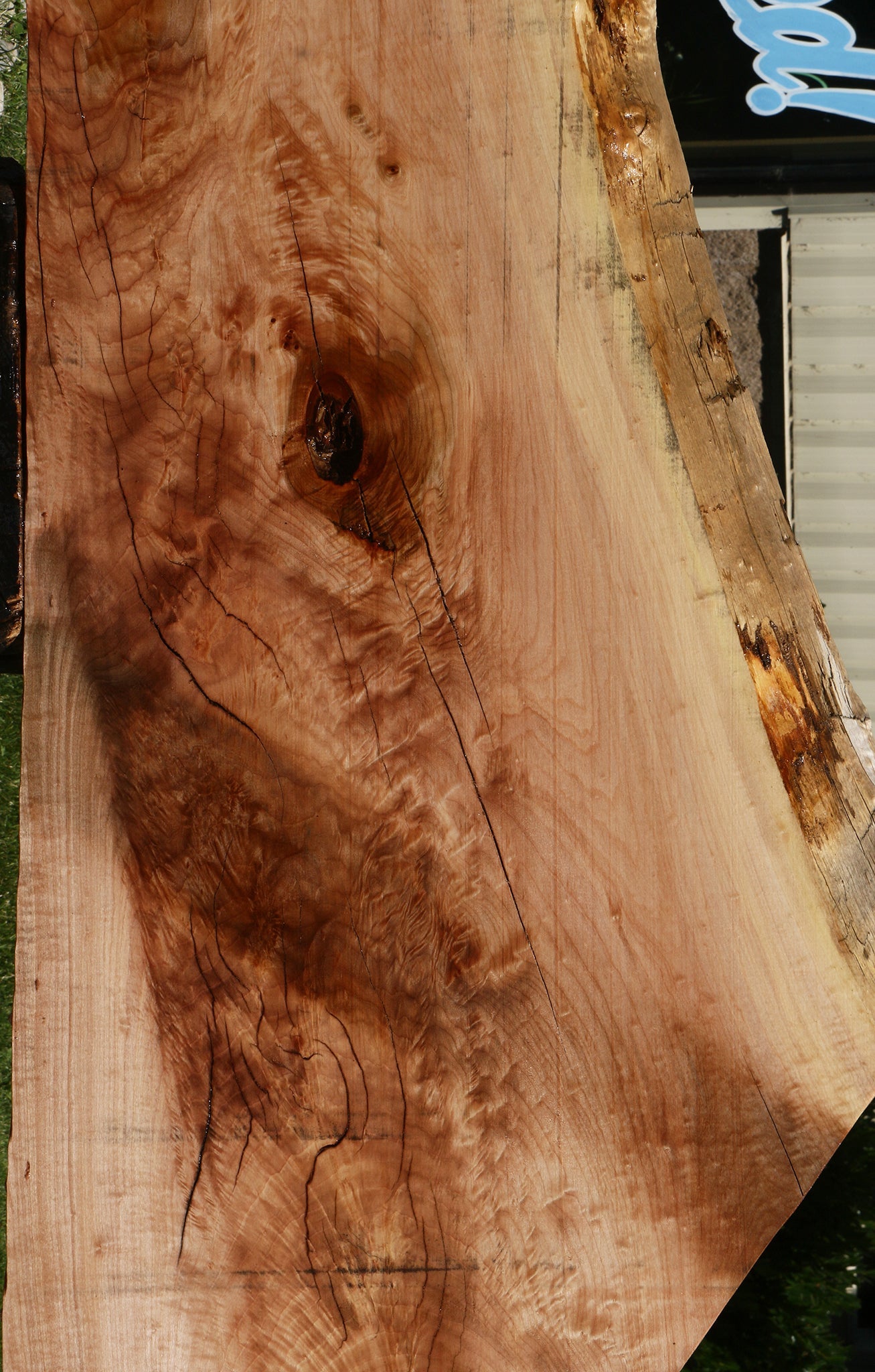 Rustic Maple Live Edge Slab