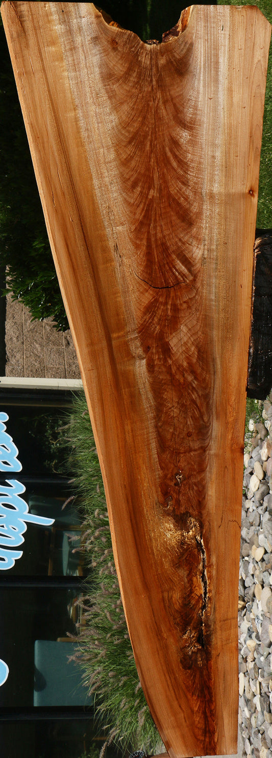 Crotchwood Maple Burl Live Edge Slab