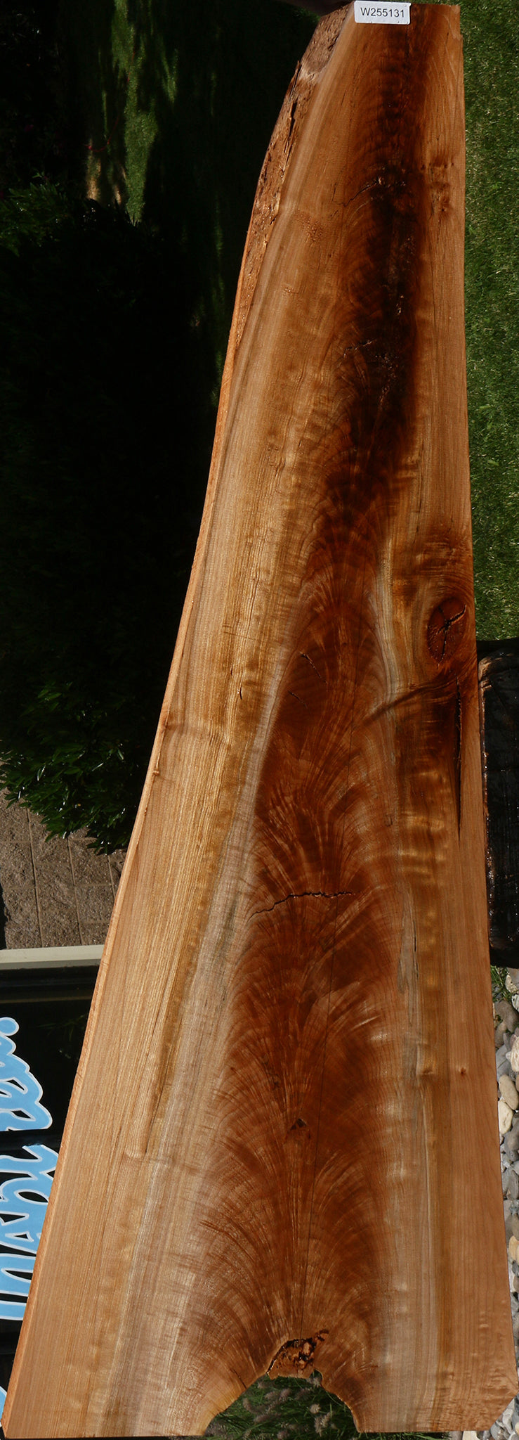 Crotchwood Maple Burl Live Edge Slab