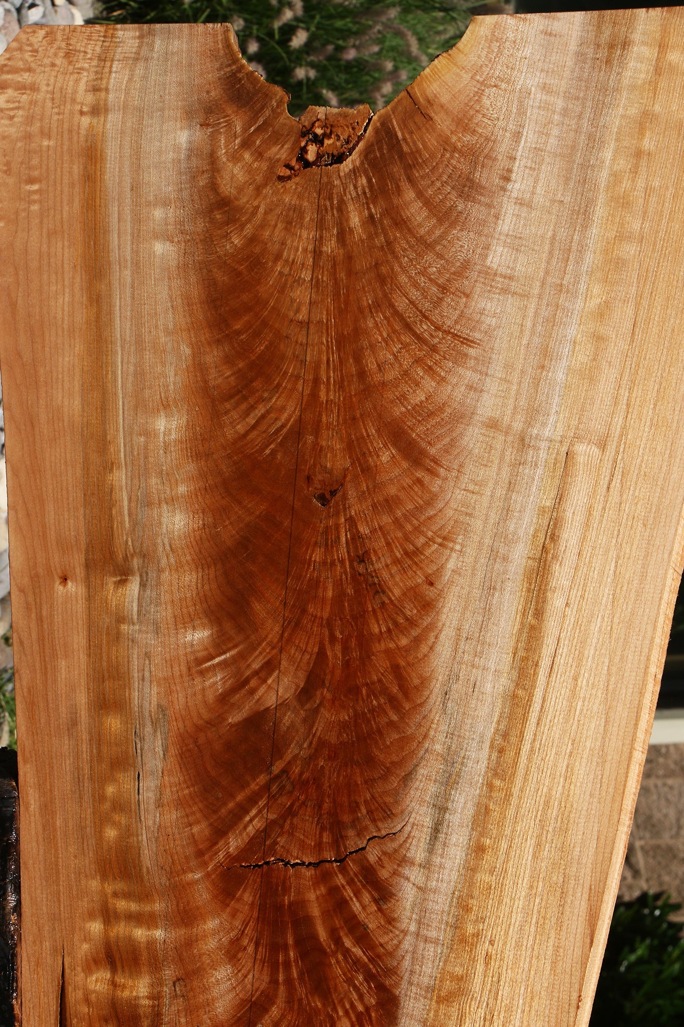Crotchwood Maple Burl Live Edge Slab