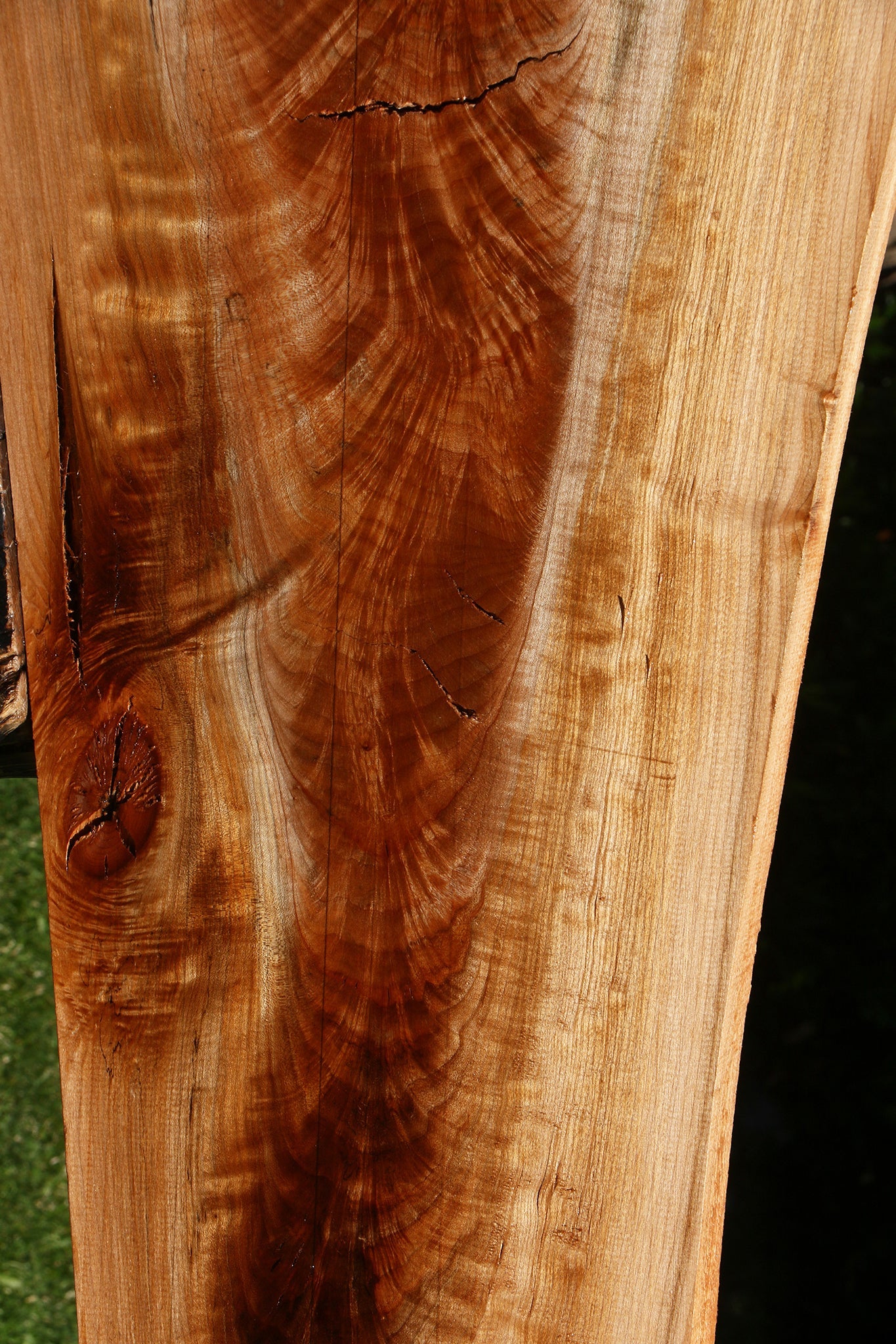 Crotchwood Maple Burl Live Edge Slab