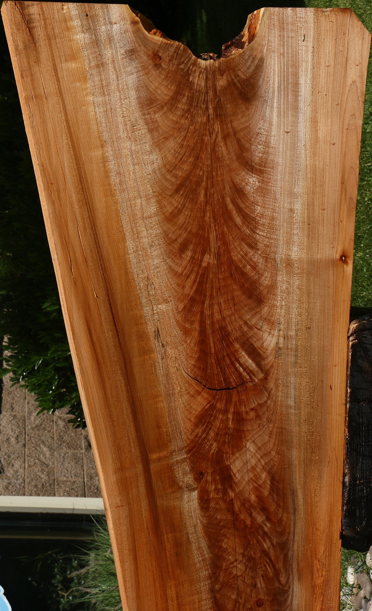 Crotchwood Maple Burl Live Edge Slab