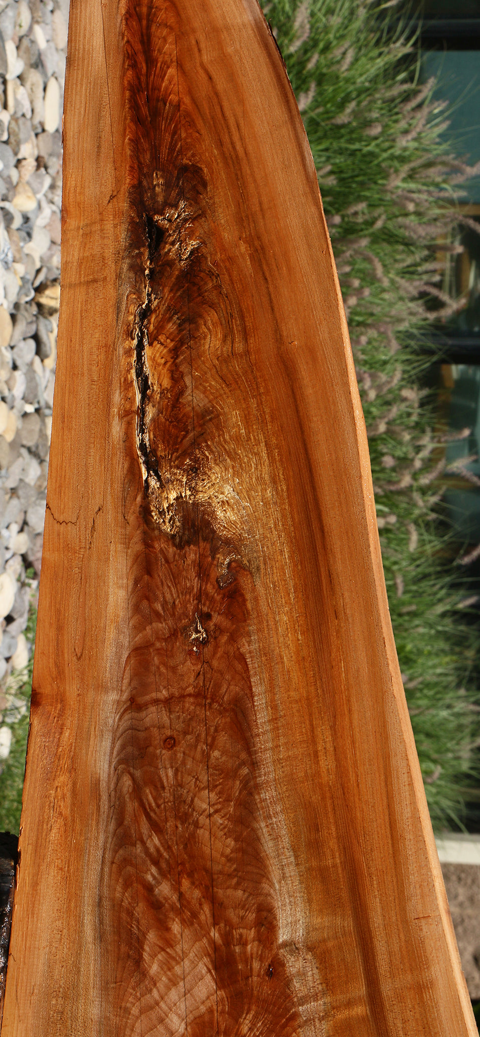 Crotchwood Maple Burl Live Edge Slab