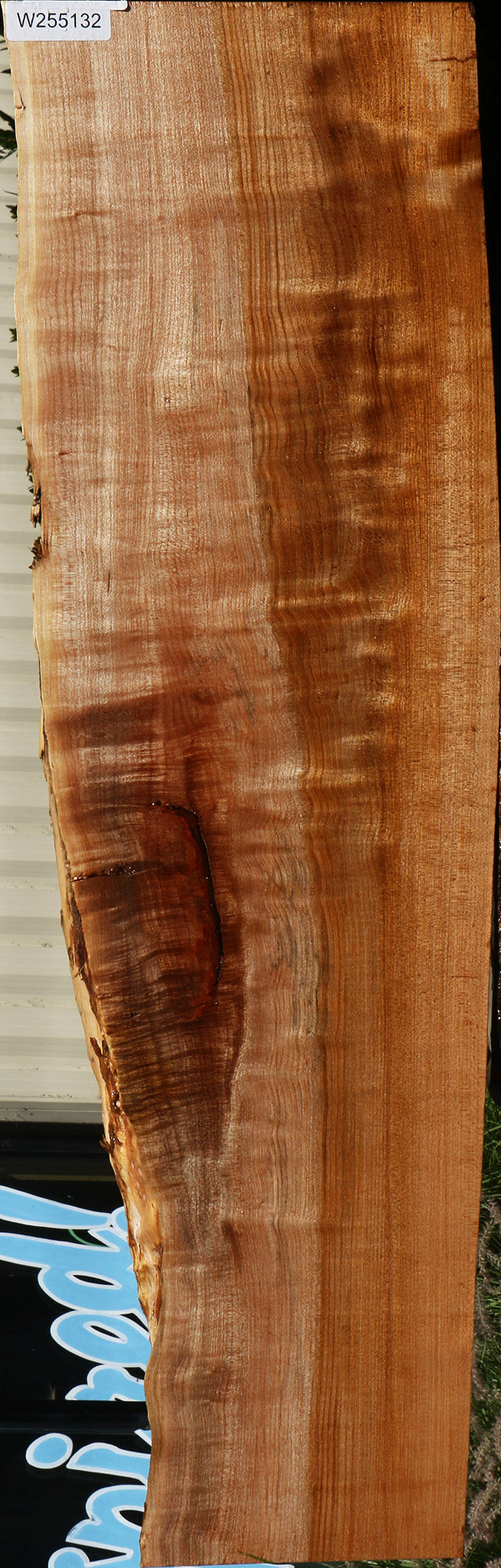 Figured Maple Live Edge Mini Slab