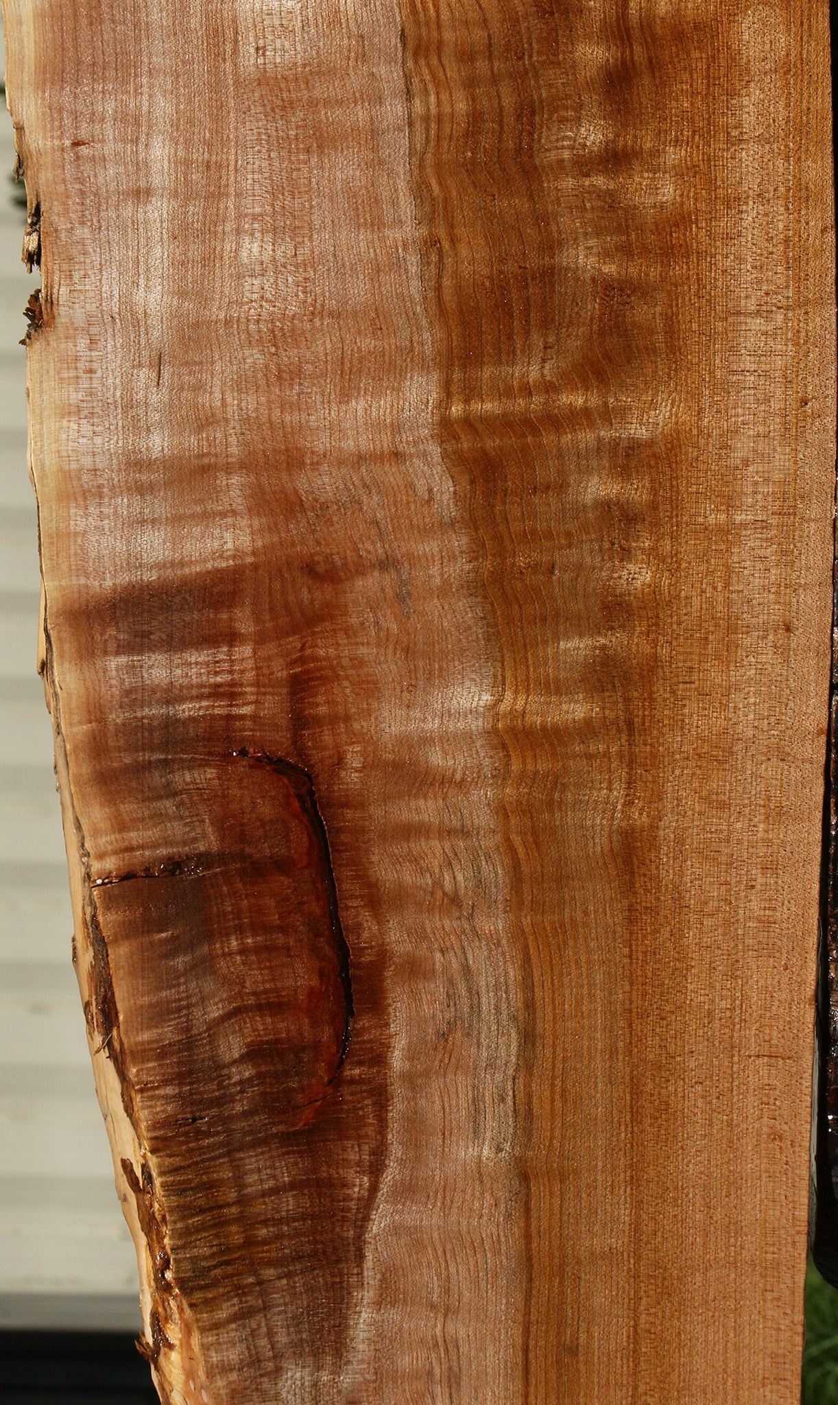 Figured Maple Live Edge Mini Slab