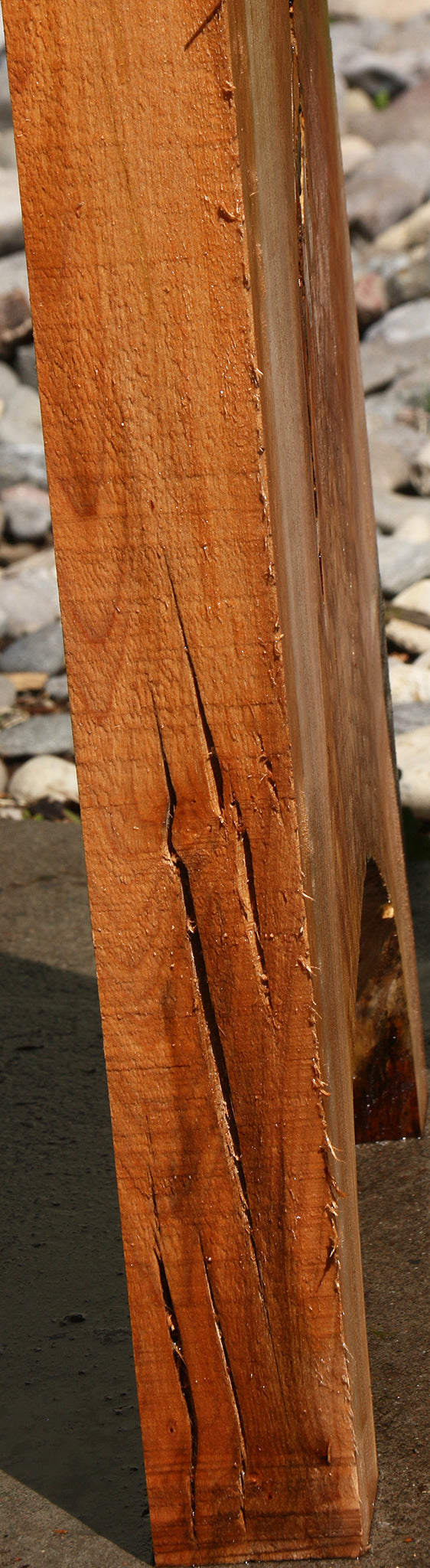 Rustic Crotchwood Maple Live Edge Lumber