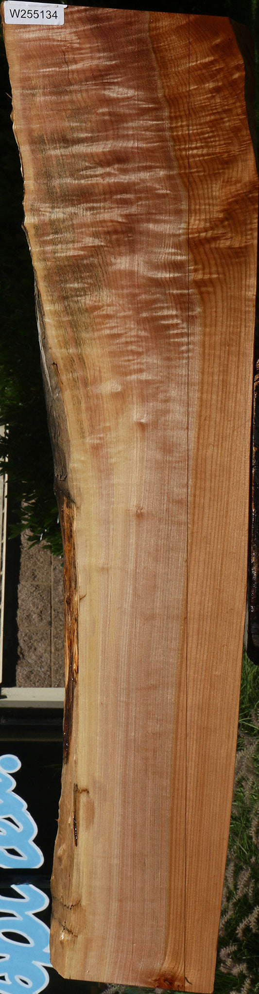 Extra Fancy Maple Live Edge Rifle Blank