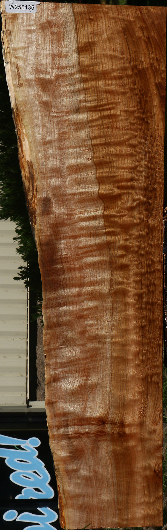Extra Fancy Maple Live Edge Slab