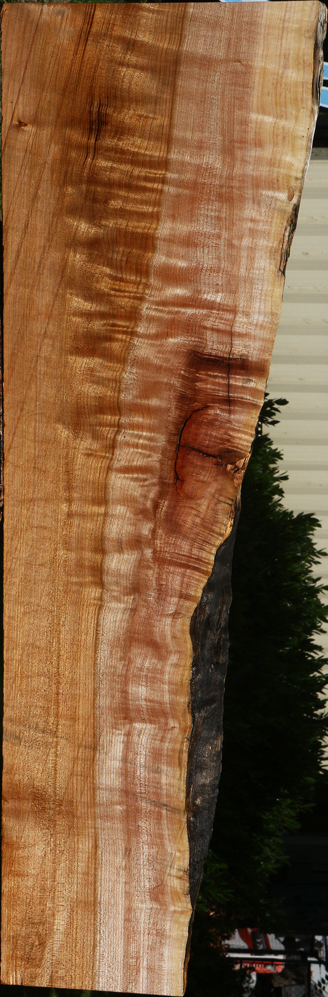 Extra Fancy Maple Live Edge Slab
