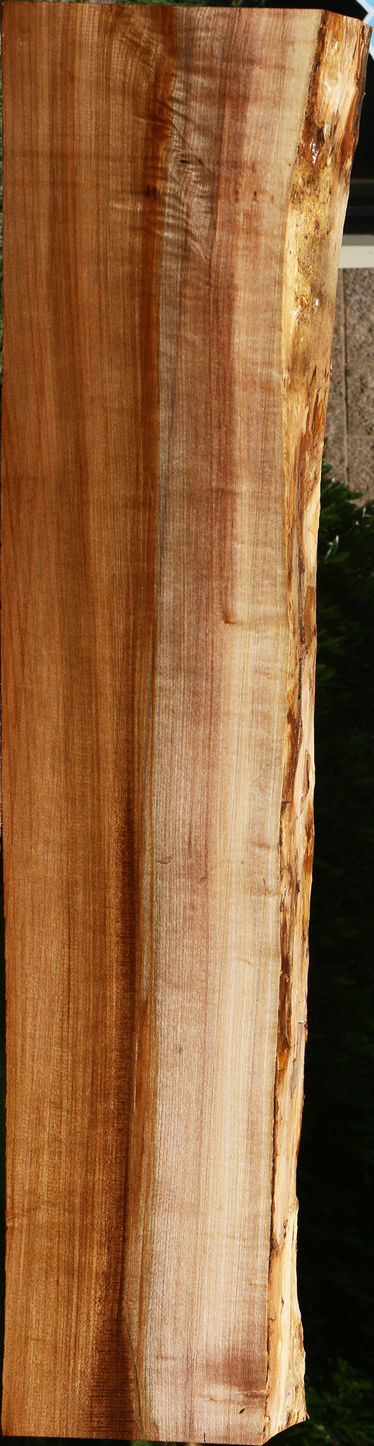 Maple Live Edge Mini Slab