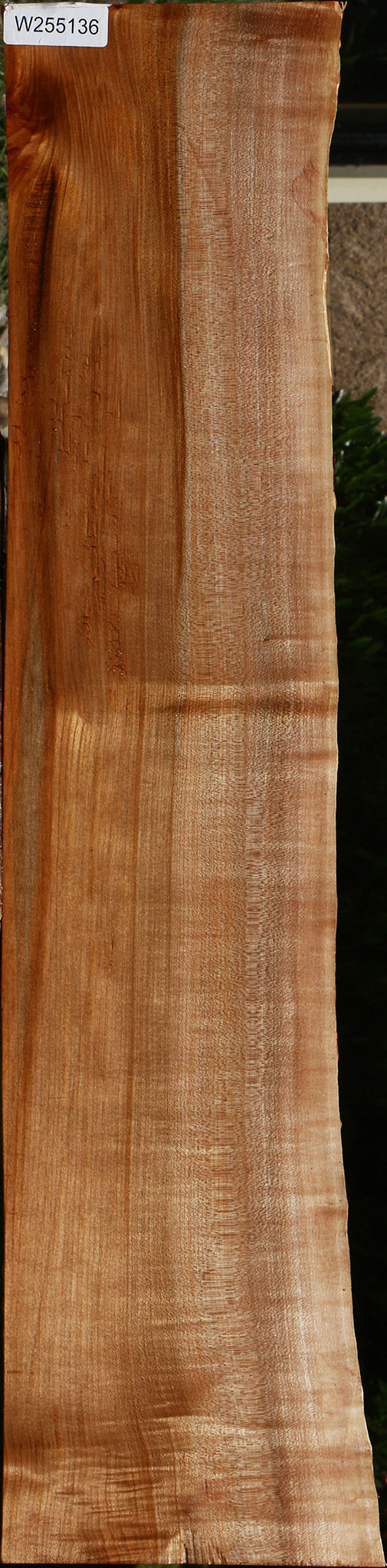 Maple Live Edge Mini Slab