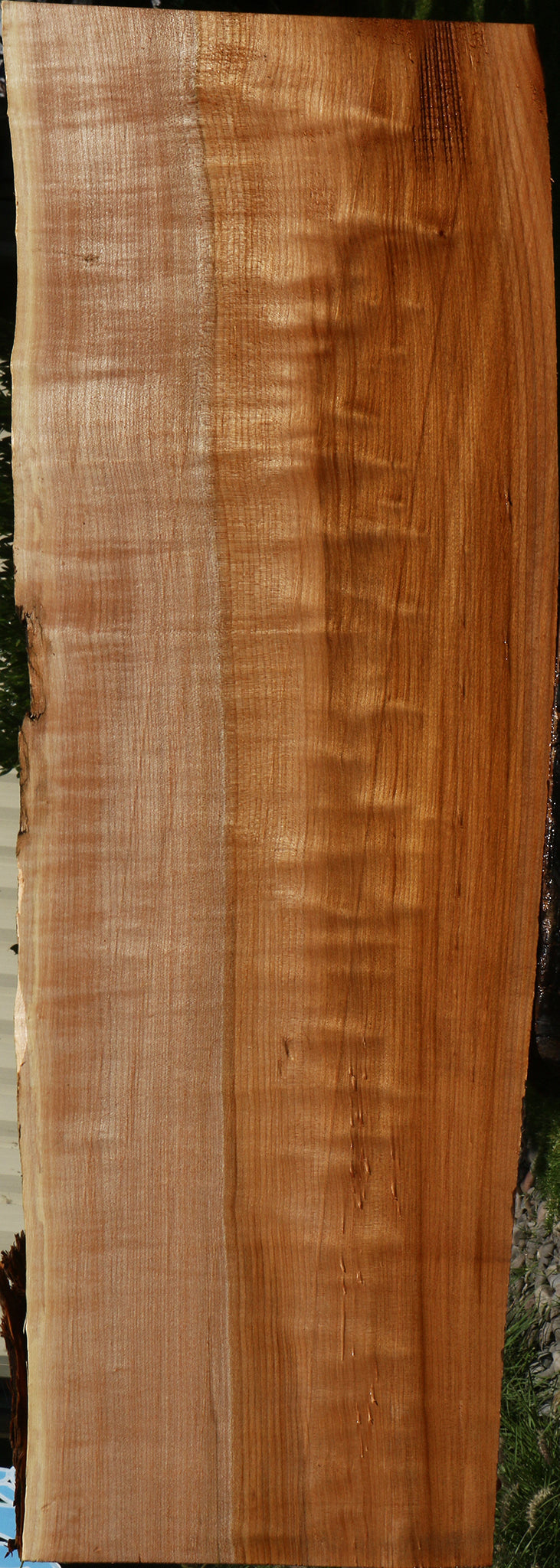 Figured Maple Live Edge Mini Slab