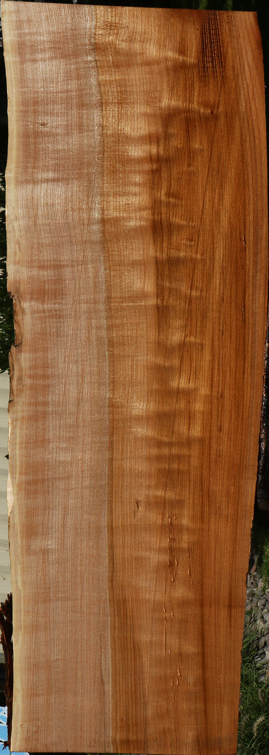 Figured Maple Live Edge Mini Slab