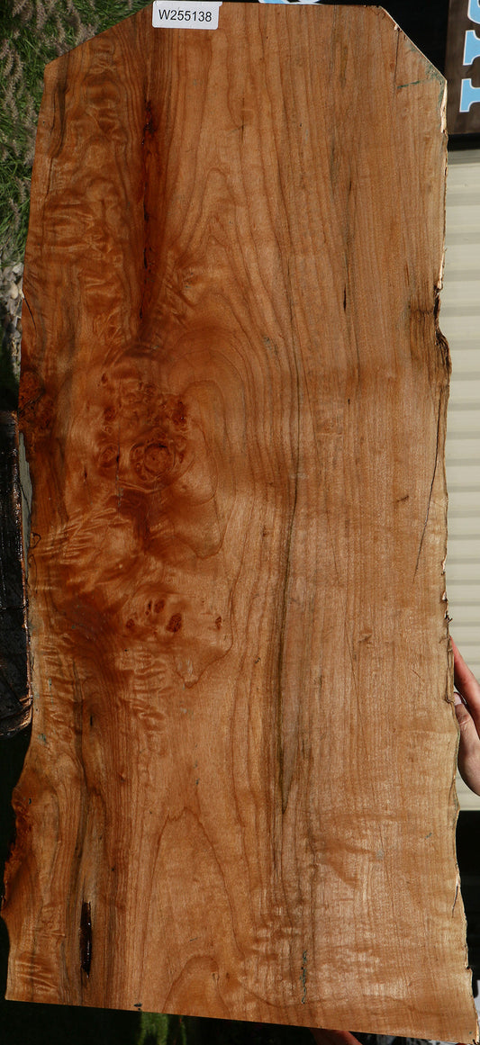 Figured Maple Live Edge Mini Slab