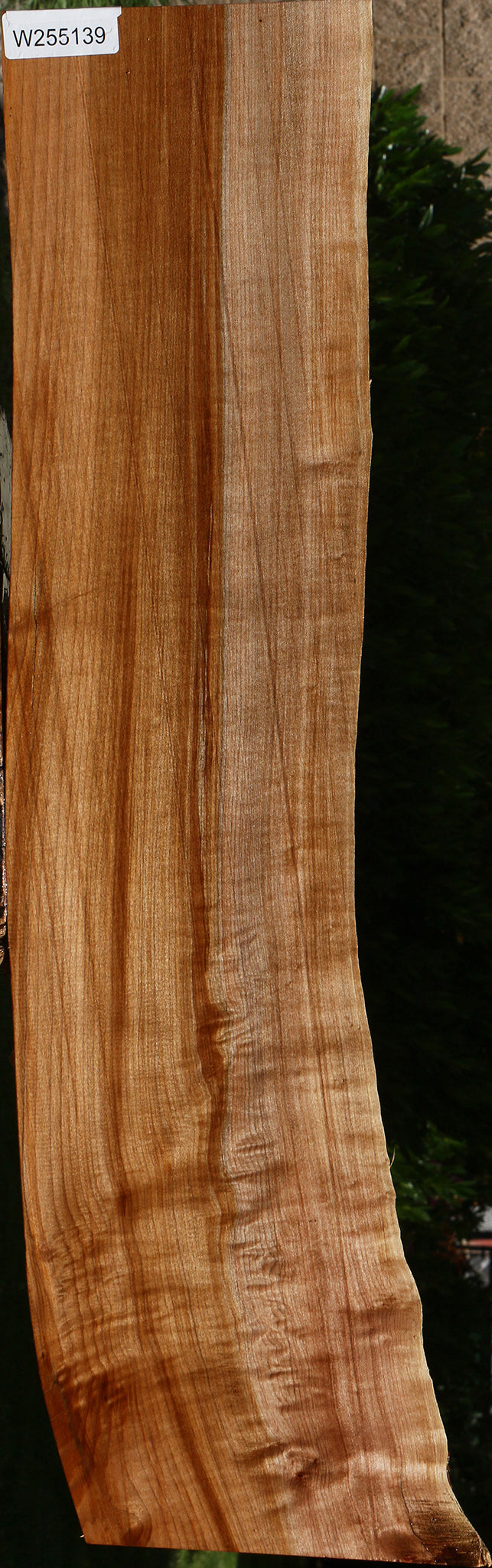 Figured Maple Live Edge Mini Slab