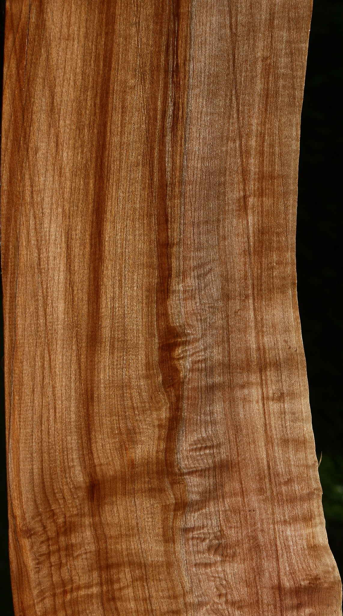 Figured Maple Live Edge Mini Slab