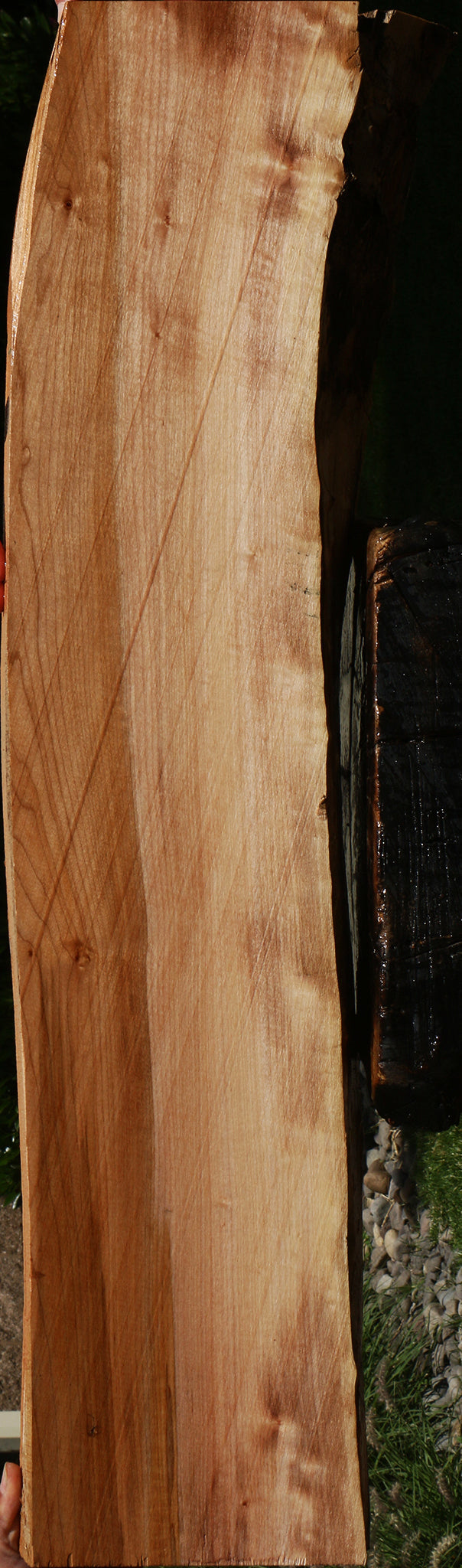 Figured Maple Live Edge Mini Slab