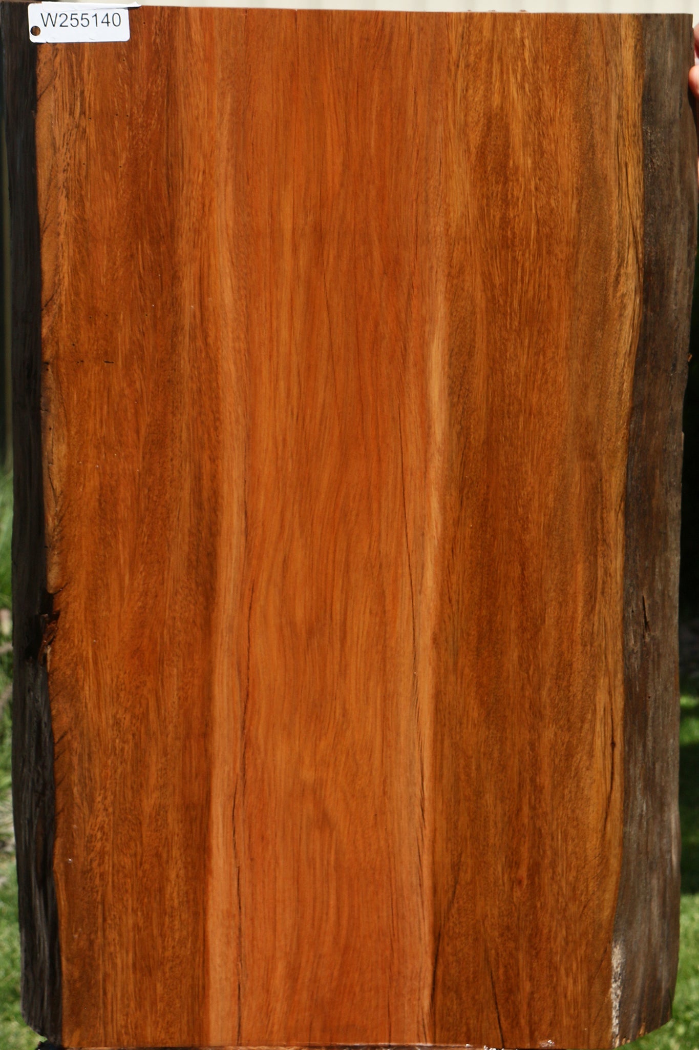Suriname Live Edge Mini Slab