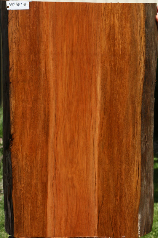 Suriname Live Edge Mini Slab