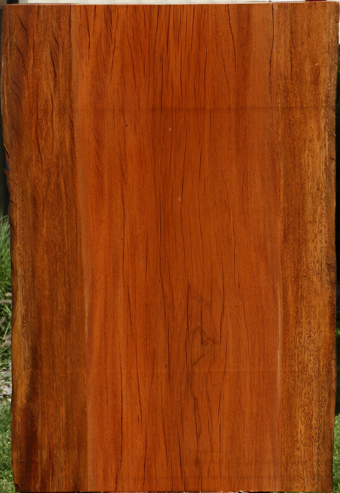 Suriname Live Edge Mini Slab
