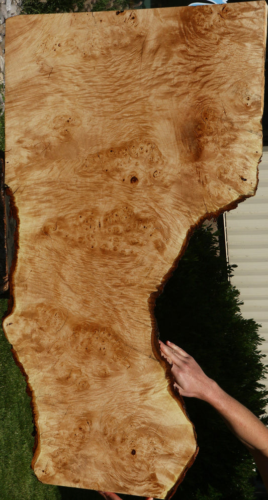 Maple Burl Live Edge Slab