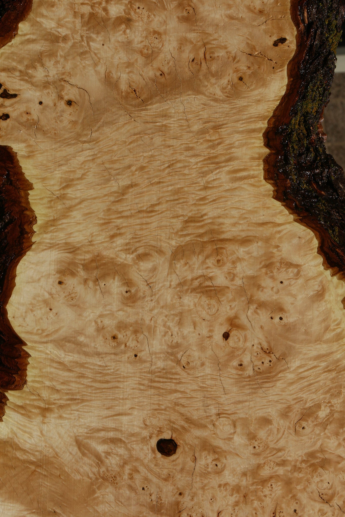 Maple Burl Live Edge Slab