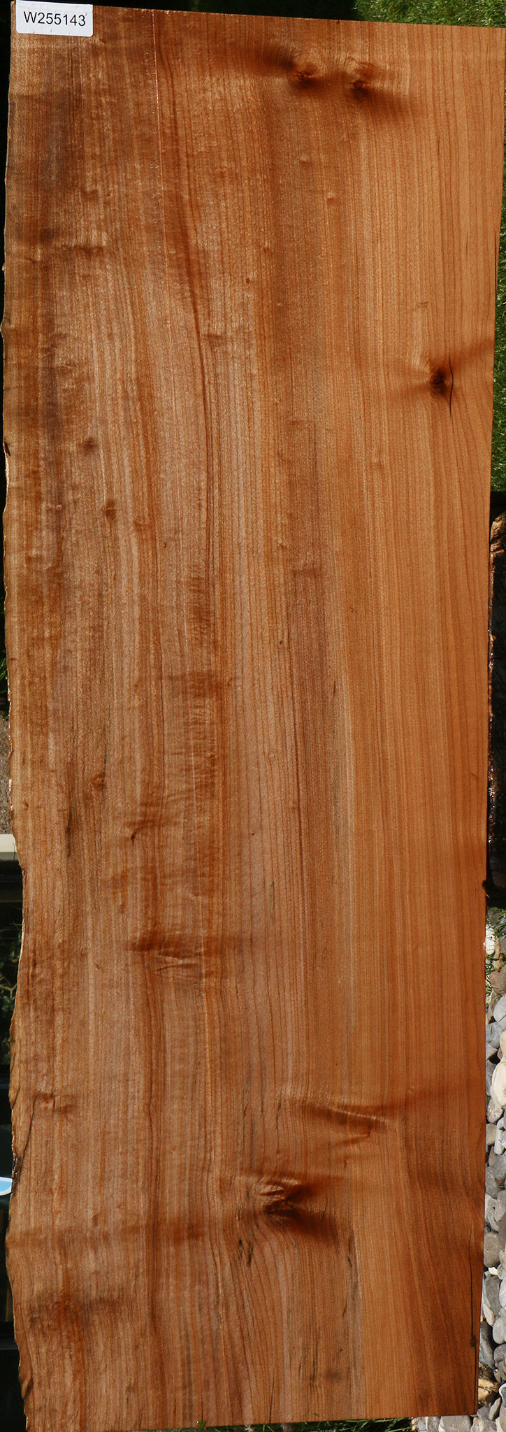 Figured Rustic Maple Live Edge Slab